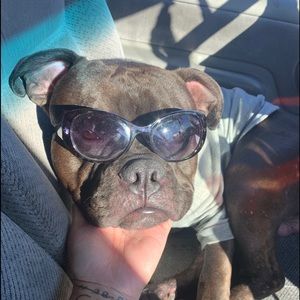 Meet your Posher, Yvonne